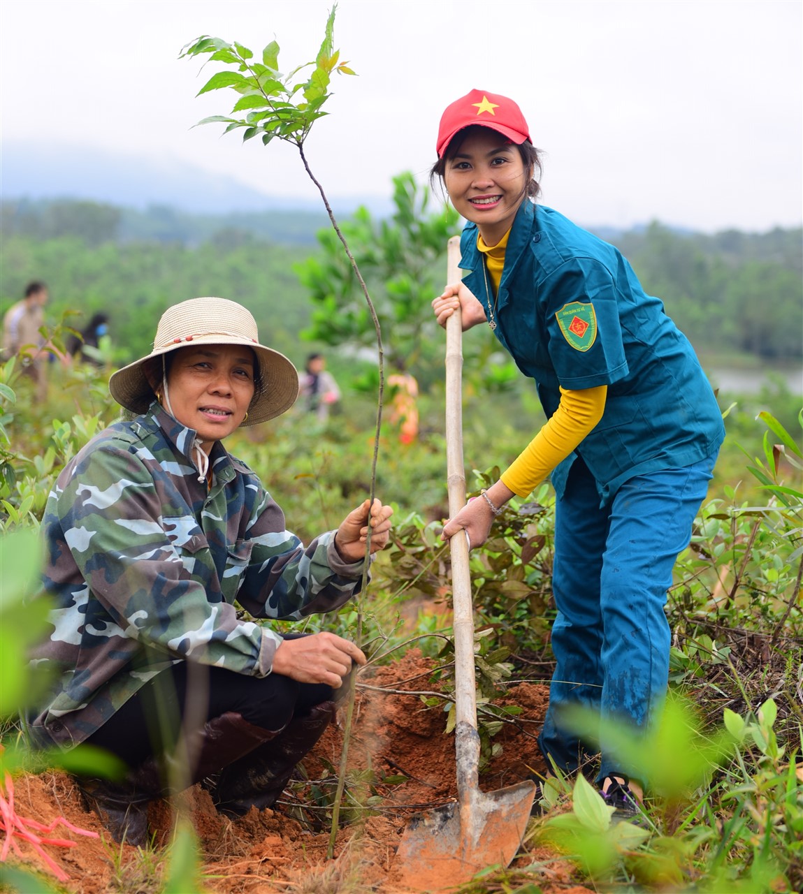 Công đức lớn của việc trồng rừng - Thiền Tôn Phật Quang