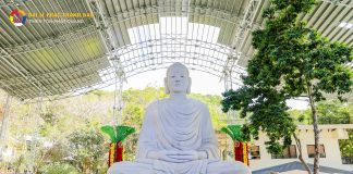 P6 – Top 10 điều ấn tượng tại Thiền Tôn Phật Quang – Đại Lễ Phật Thành Đạo 2024: Sắc hoa tươi thắm