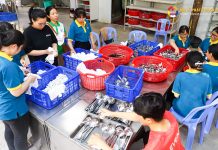 P2 – Công tác chuẩn bị Đại lễ Phật Thành Đạo 2024 tại Thiền Tôn Phật Quang