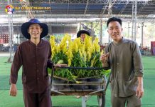 P3 – Công tác chuẩn bị Đại lễ Phật Thành Đạo 2024 tại Thiền Tôn Phật Quang