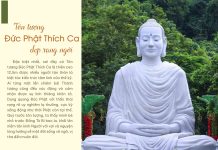 Emagazine Thành Đạo 2024