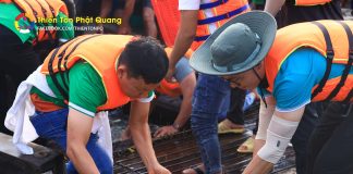 Cần Thơ: Gần 40 tấn cá được phóng sinh tại Quảng trường Tây Đô