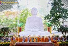 Cảm Niệm Phật Đản 2024