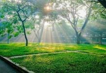 Hãy nói lên rằng xuân đã sang