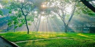 Hãy nói lên rằng xuân đã sang