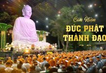 Cảm Niệm Ngày Đức Phật Thành Đạo Kỷ niệm ngày Đức Phật thành đạo